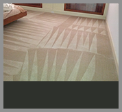 professional-organic-carpet-cleaning