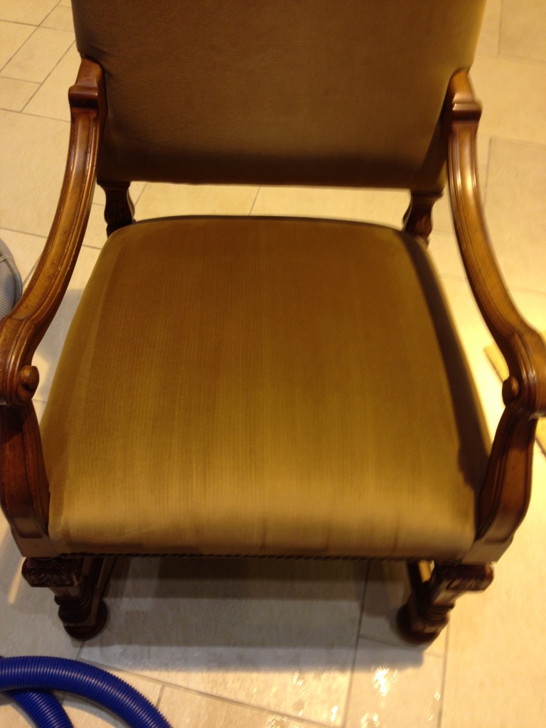 Upholstery Cleaning Services in NYC Best Upholstery Cleaning Services.