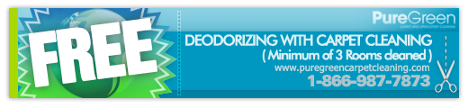 Free deodorizing carpet cleaning coupon for maximum 3 rooms