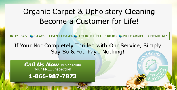 organic-carpet-and-area-rug-cleaning