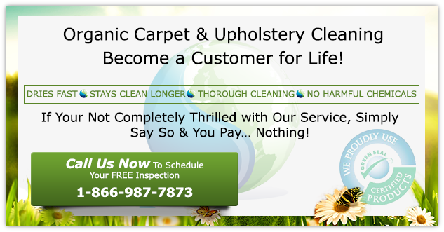 PureGreen certified cleaning service