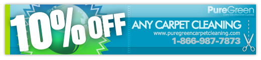 10% off coupon on any carpet cleaning