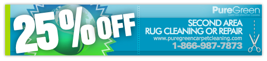 25% off coupon on Second Area Rug Cleaning
