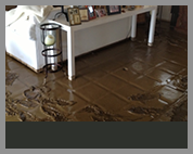 water-flood-damage-cleaning-professionals